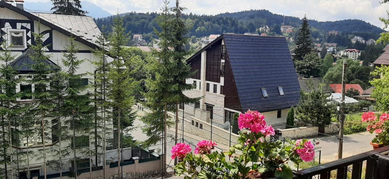 Mountain Breeze Hotel Predeal Luaran gambar