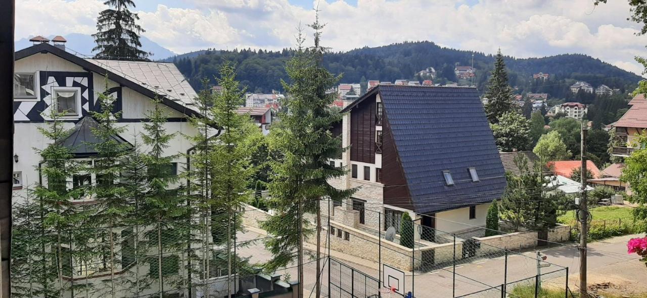 Mountain Breeze Hotel Predeal Luaran gambar