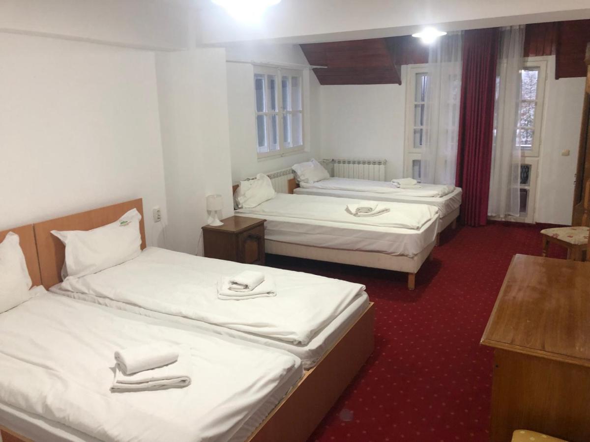 Mountain Breeze Hotel Predeal Luaran gambar